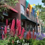 Flower_gardens_web